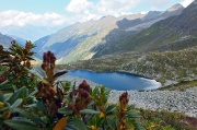 Monte Valegino ad anello dalla Baita del Camoscio il 7 sett. 2013